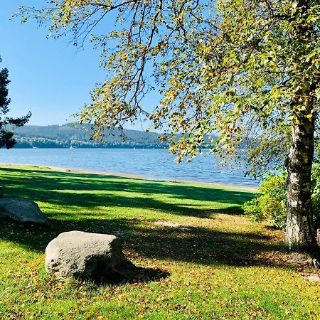 Riviera Lipno 502 Apartman 4Kk U Vody 리프노나드비타보브 외부 사진